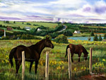 New Glasgow Highlands - Maurice Bernard