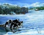 Cows - Winter Thaw PEI - Maurice Bernard