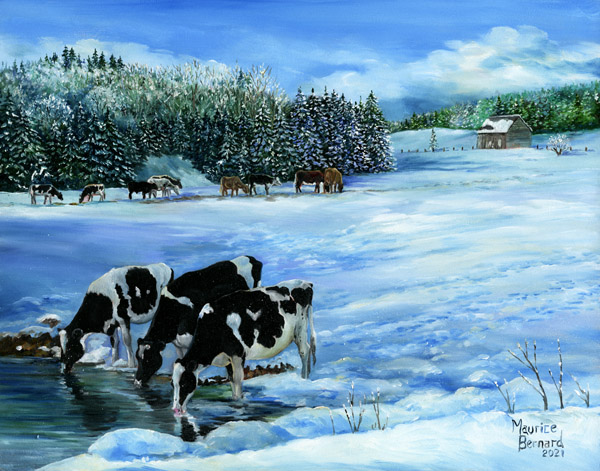 Cows Spring Melt - Maurice Bernard